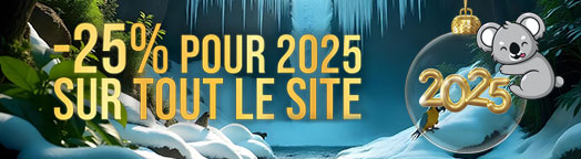 -25% pour 2025